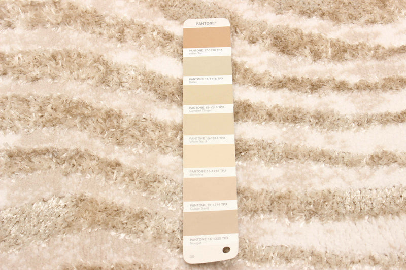 Kamala Ivory Area Rug - 5'0\" x 8'0\"
