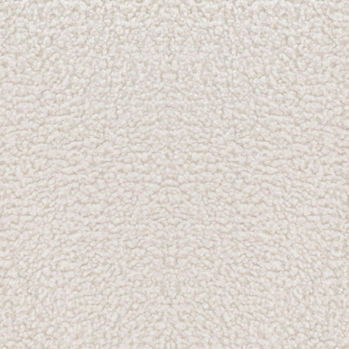 Darian Modern Boucle Lounge Chair in White - Set of 2 