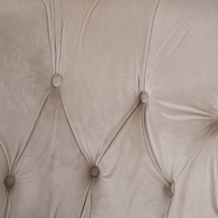 Akira Velvet Fabric Chair With Button Tufted And Nailhead Trim - Champagne 