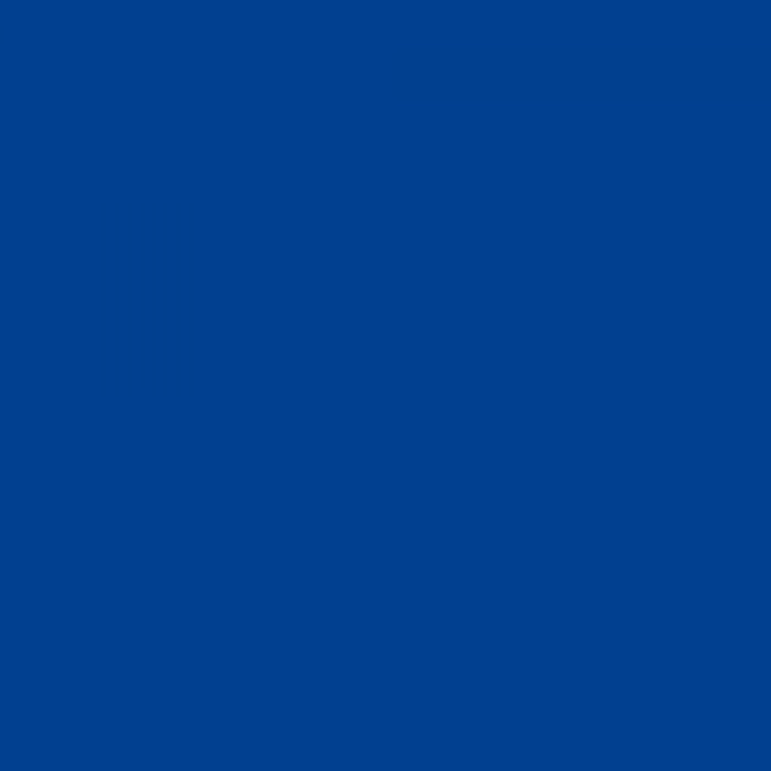 Strine Modern Wood Upholstered Dining Chair in Blue and Gold - Set of 2 