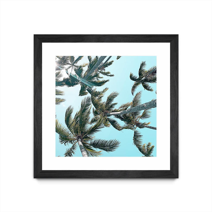 \"Palm 03\" Matted and Framed Black 36x36 Wall Art