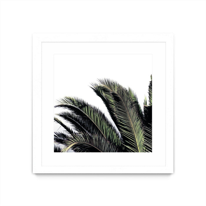 \"Cape Storm\" Matted and Framed White 36x36 Wall Art