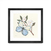 \"In The Garden Butterfly\" Matted and Framed Black 36x36 Wall Art
