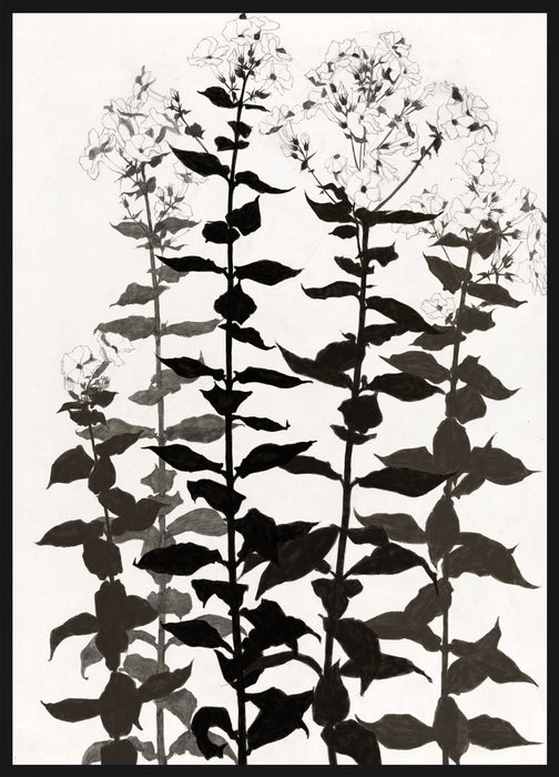 Botanica Framed High Gloss Artwork - 33\" x 45\"