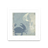 \"Ocean Life Ii\" Matted and Framed White 36x36 Wall Art