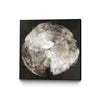 \"Touch Of Darkened Silver\" Canvas Framed Black 20x20 Wall Art