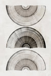 \"Sophisticatted Lines I\" Giant Art 72x48 Wall Art