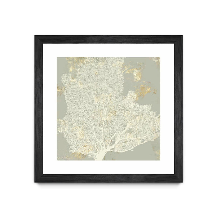 \"Sea Coral I\" Matted and Framed Black 36x36 Wall Art