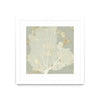 \"Sea Coral I\" Matted and Framed White 36x36 Wall Art