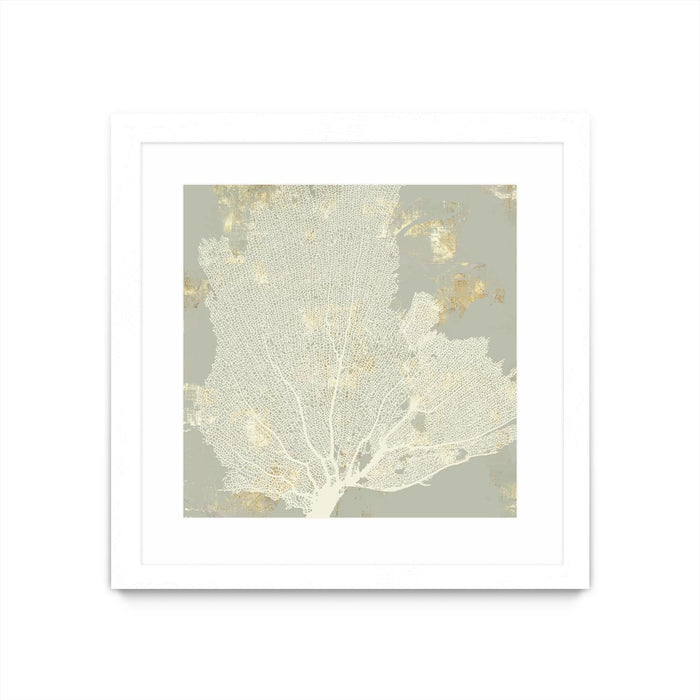 \"Sea Coral I\" Matted and Framed White 36x36 Wall Art