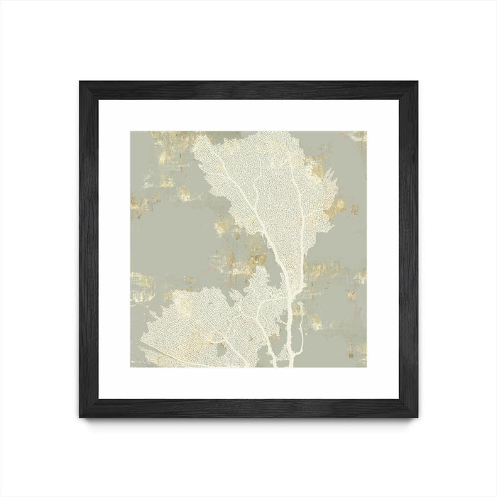 \"Sea Coral Ii\" Matted and Framed Black 36x36 Wall Art