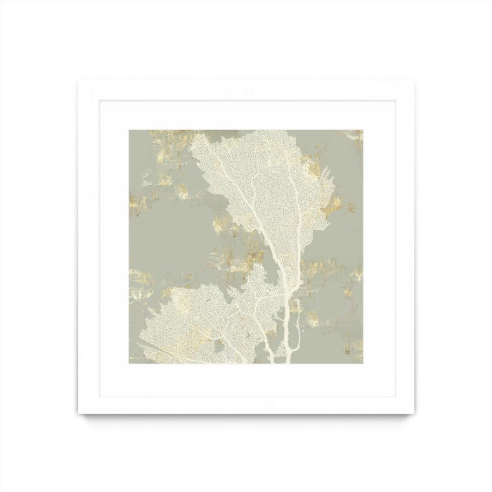 \"Sea Coral Ii\" Matted and Framed White 30x30 Wall Art
