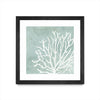 \"Sea Crown Ii\" Matted and Framed Black 36x36 Wall Art