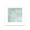 \"Sea Crown Ii\" Matted and Framed White 30x30 Wall Art