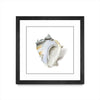 \"Seafoam Shell\" Matted and Framed Black 30x30 Wall Art