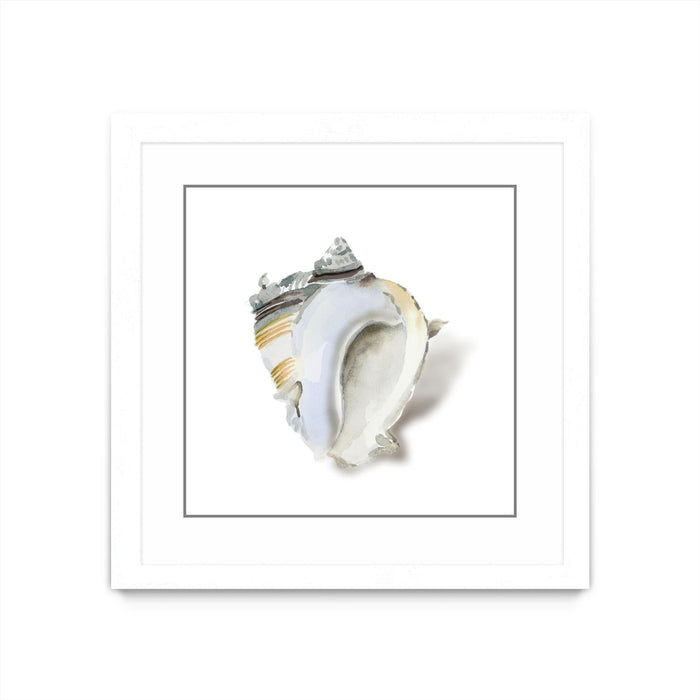 \"Seafoam Shell\" Matted and Framed White 30x30 Wall Art