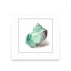 \"Shell In Mint\" Matted and Framed White 36x36 Wall Art