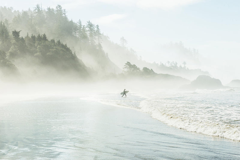 \"Suhrie - Catching The Morning Surf\" Giant Art 72x48 Wall Art