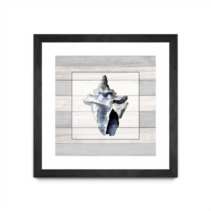\"Muted Blue Sea Conch On Wood\" Matted and Framed Black 36x36 Wall Art