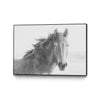 \"Staredown\" Canvas Framed Black 36x24 Wall Art