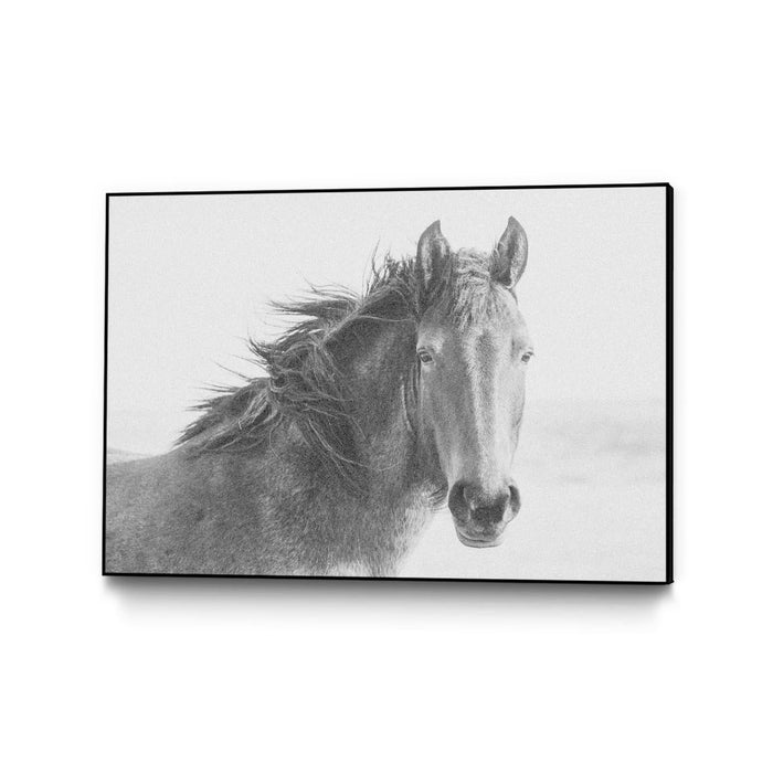 \"Staredown\" Canvas Framed Black 36x24 Wall Art