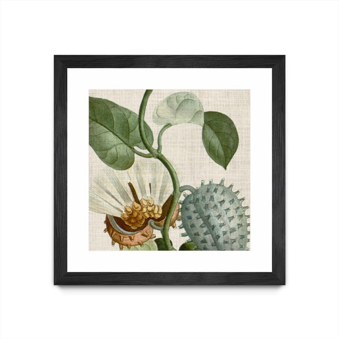 \"Cropped Turpin Tropicals Ii\" Matted and Framed Black 30x30 Wall Art