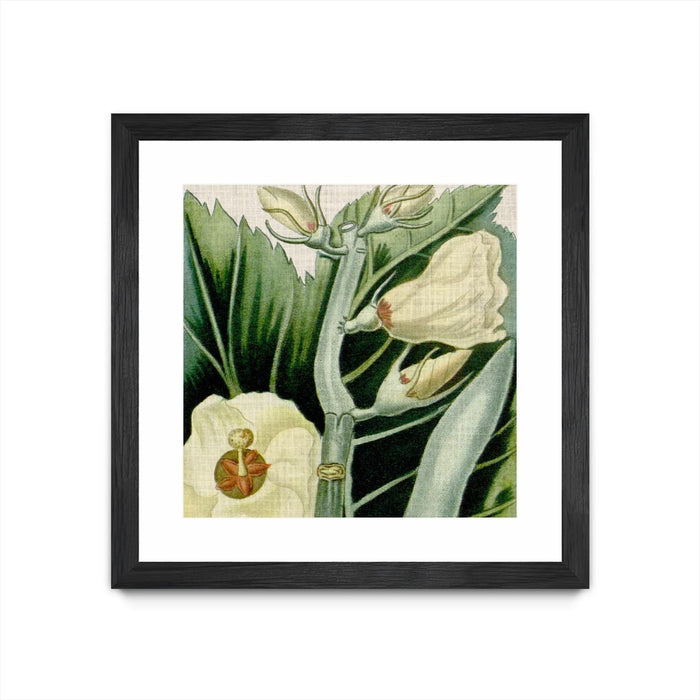 \"Cropped Turpin Tropicals Iii\" Matted and Framed Black 30x30 Wall Art