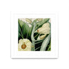 \"Cropped Turpin Tropicals Iii\" Matted and Framed White 30x30 Wall Art