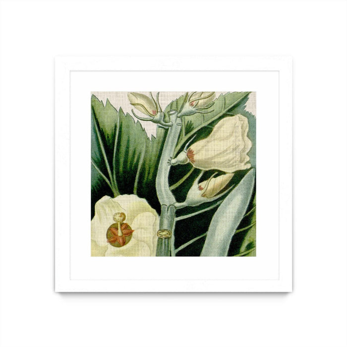 \"Cropped Turpin Tropicals Iii\" Matted and Framed White 30x30 Wall Art