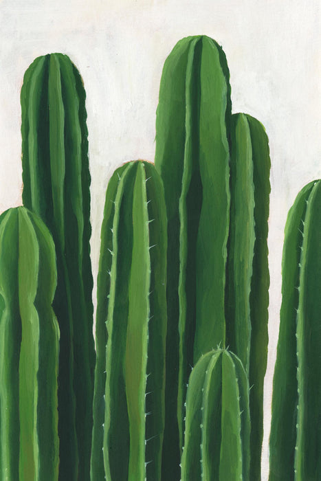 \"Pura Vida Iii\" Giant Art 72x48 Wall Art