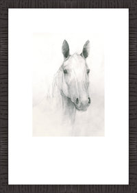Ceaser I Framed Artwork Raised Under Glass with Mat - 16