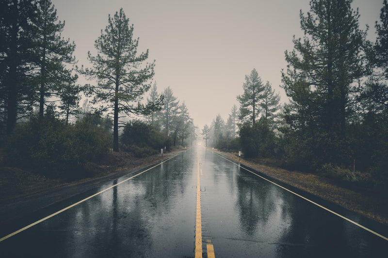 \"Rainy Day\" Giant Art 72x48 Wall Art