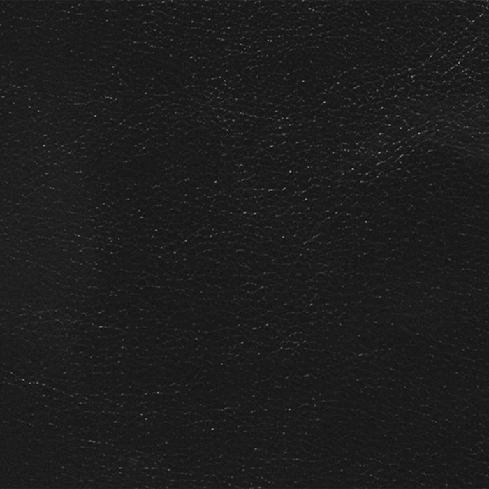 Curt Genuine Leather Chair - Black