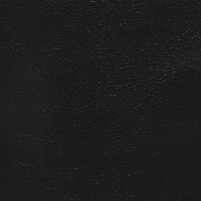 Curt Genuine Leather Loveseat - Black