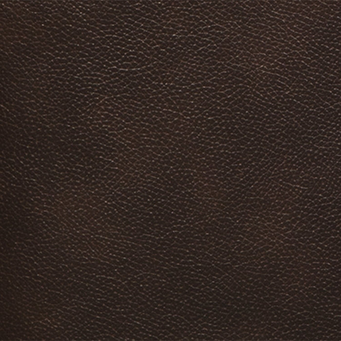 Curt Genuine Leather Chair - Brown