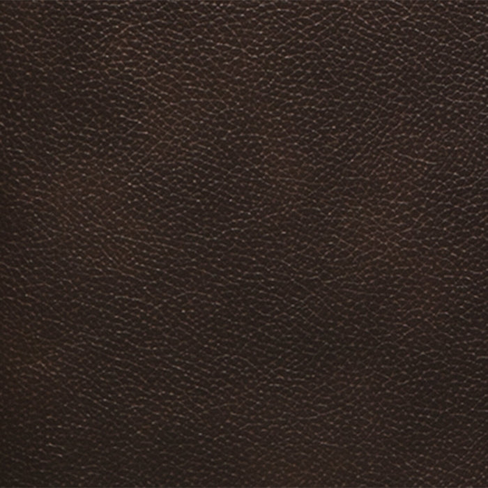 Curt Genuine Leather Loveseat - Brown