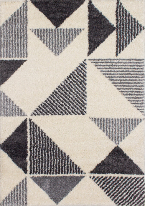 Dayton Shag Area Rug - 5' 3\" x 7' 7\"