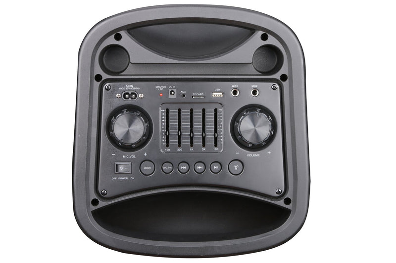 Proscan 2 x 10\" Light Up Bluetooth Speaker with FM Radio