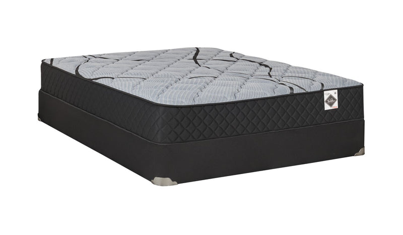 Springwall Red Cedar Tight Top Luxury Firm Queen Mattress-in-a-Box
