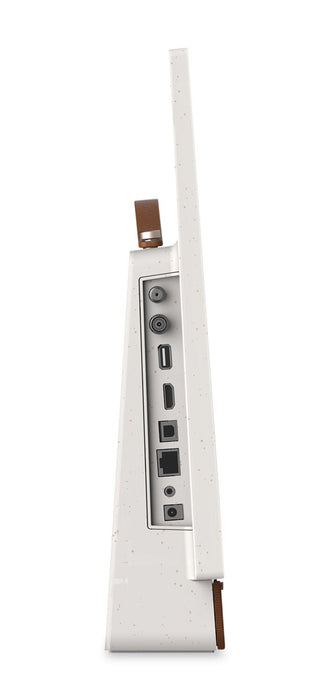Skyworth 24\" Companion P100 Portable LED Display with Google TV