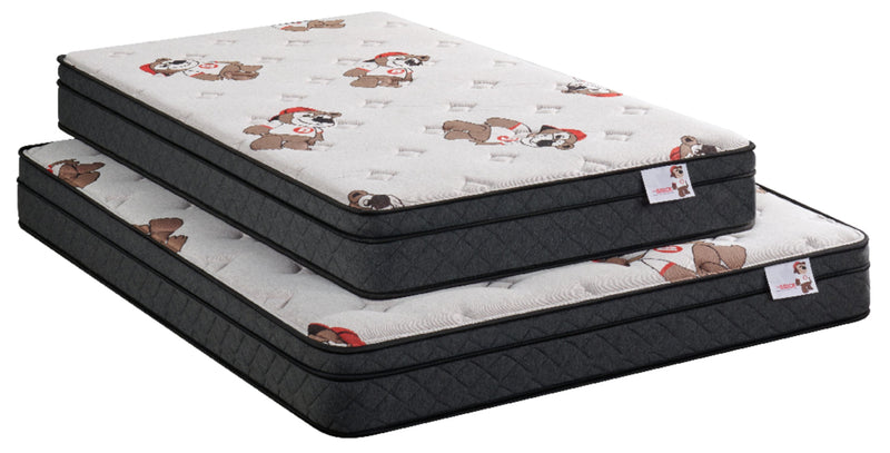 Brickley Eurotop Luxury Firm Twin Mattress