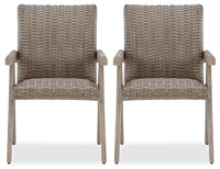 Muskoka Outdoor Patio Set of 2 Chairs - Resin Wicker, UV & Weather Resistant - Beige
