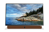 Skyworth Companion Portable™ 1080p FHD LED Display w/ Google TV (24P100)  