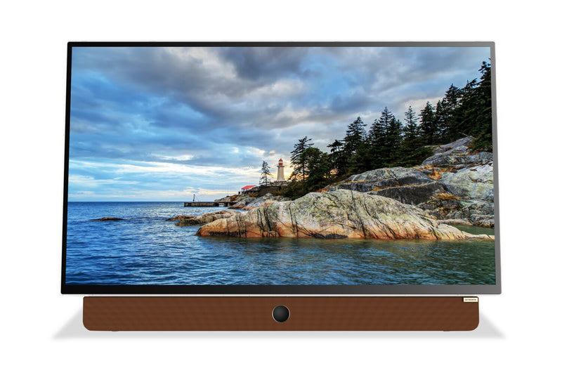 Skyworth 24\" Companion P100 Portable LED Display with Google TV