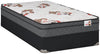 Brickley Eurotop Luxury Firm Twin Mattress