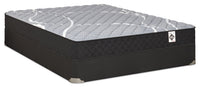 Springwall White Birch Tight Top Firm Queen Mattress-in-a-Box Set 