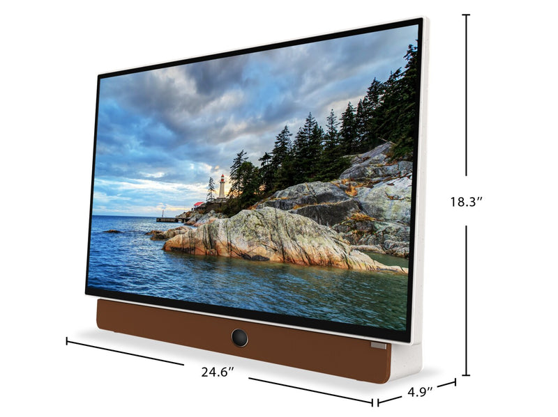 Skyworth 24\" Companion P100 Portable LED Display with Google TV