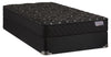 Springwall Advance Vauxhall Tight Top Firm Twin Mattress Set