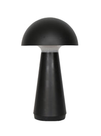 Beech 11” Modern Acrylic Portable Indoor/Outdoor Table Lamp with USB Port - Black