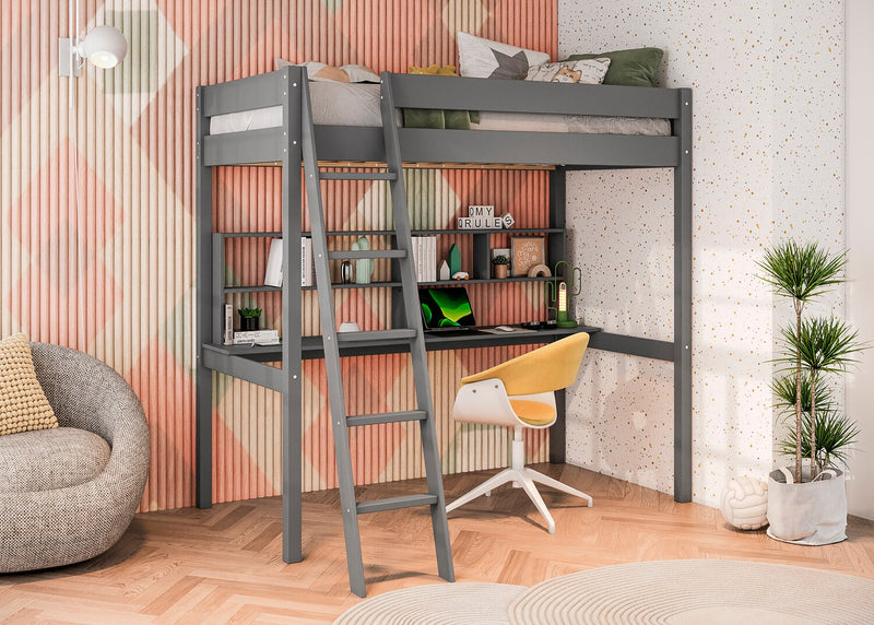 Brody Twin Loft Bed with Desk